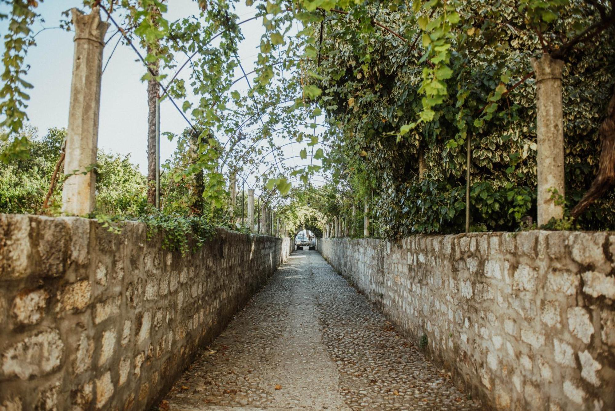 Apartments Martinovic زاووستروج المظهر الخارجي الصورة