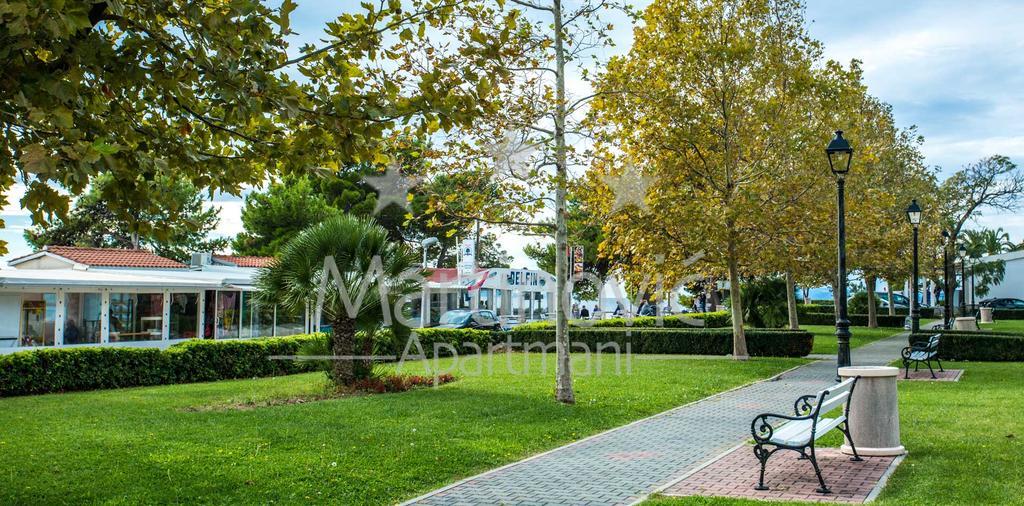 Apartments Martinovic زاووستروج المظهر الخارجي الصورة